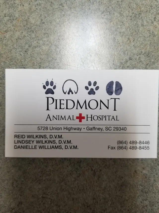 Piedmont Animal Hospital — customer photo 12