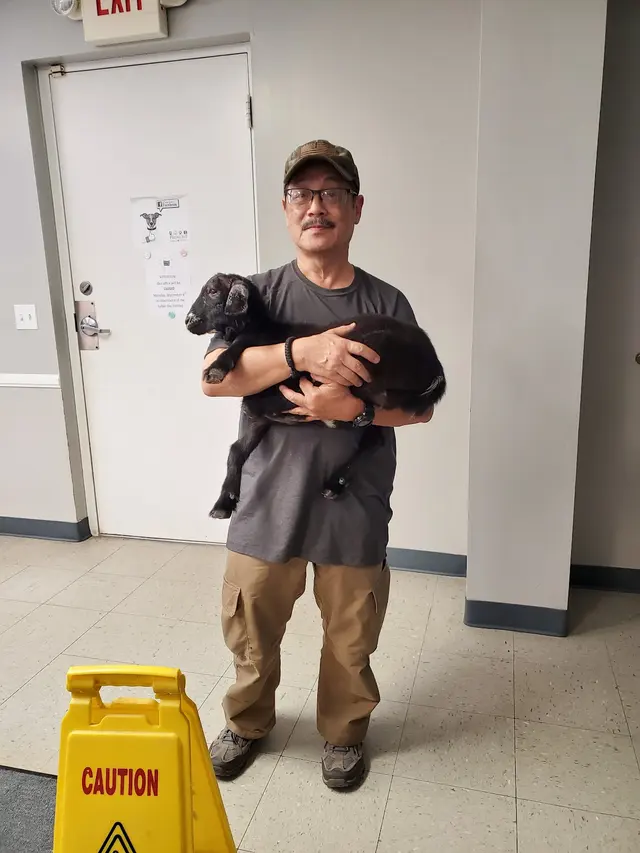 Piedmont Animal Hospital — customer photo 10