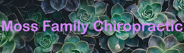 Moss Family Chiropractic — photo from the business 2