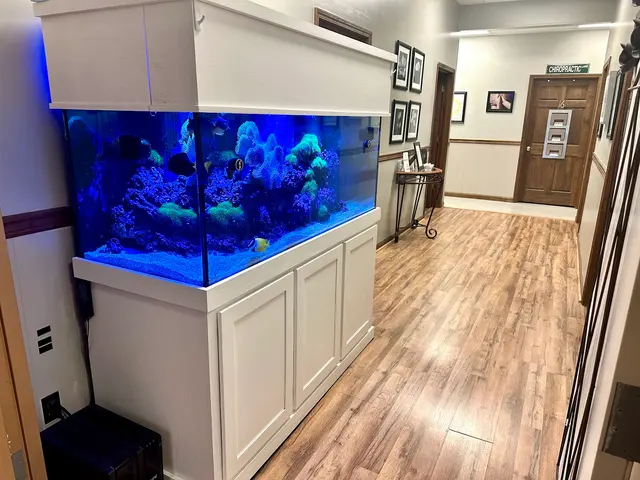 Radcliff Family Chiropractic — photo from the business 7