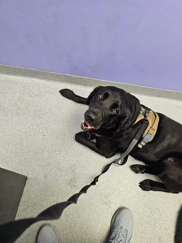 The Other Animal Hospital — customer photo 1