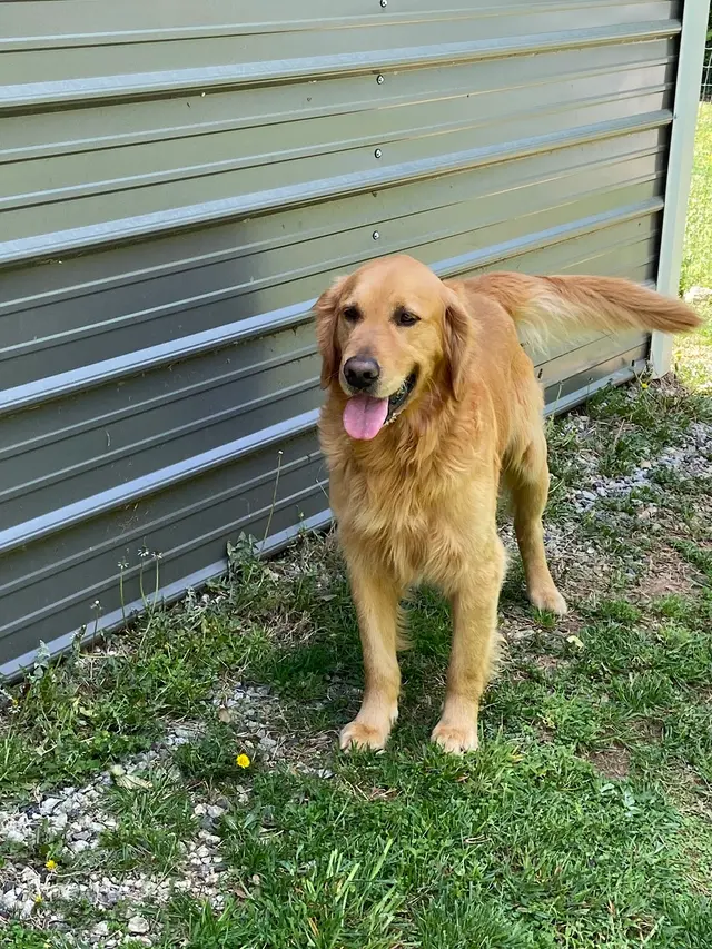 The Other Animal Hospital — customer photo 6