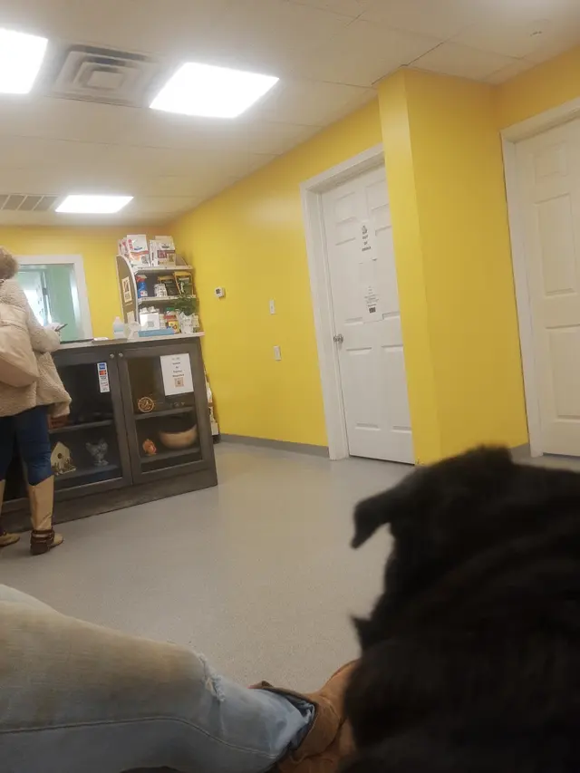 The Other Animal Hospital — customer photo 3