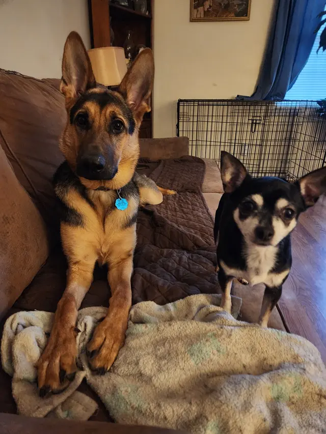 The Other Animal Hospital — customer photo 7