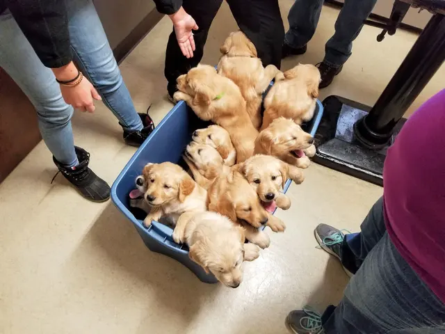 Elite Animal Hospital — customer photo 10