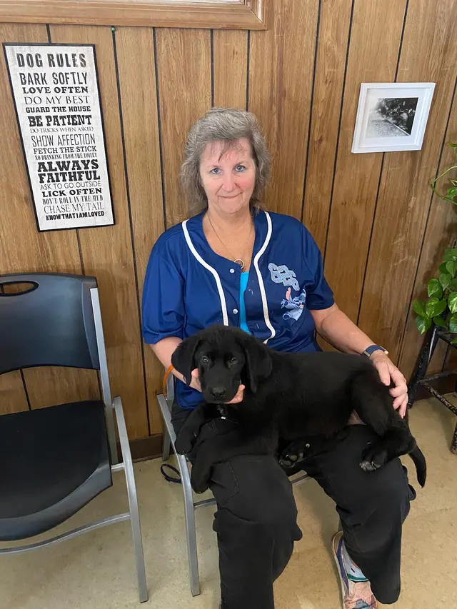 Elite Animal Hospital — customer photo 3