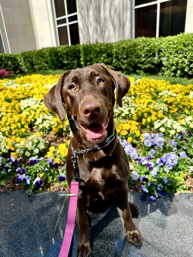 Elite Animal Hospital — customer photo 6