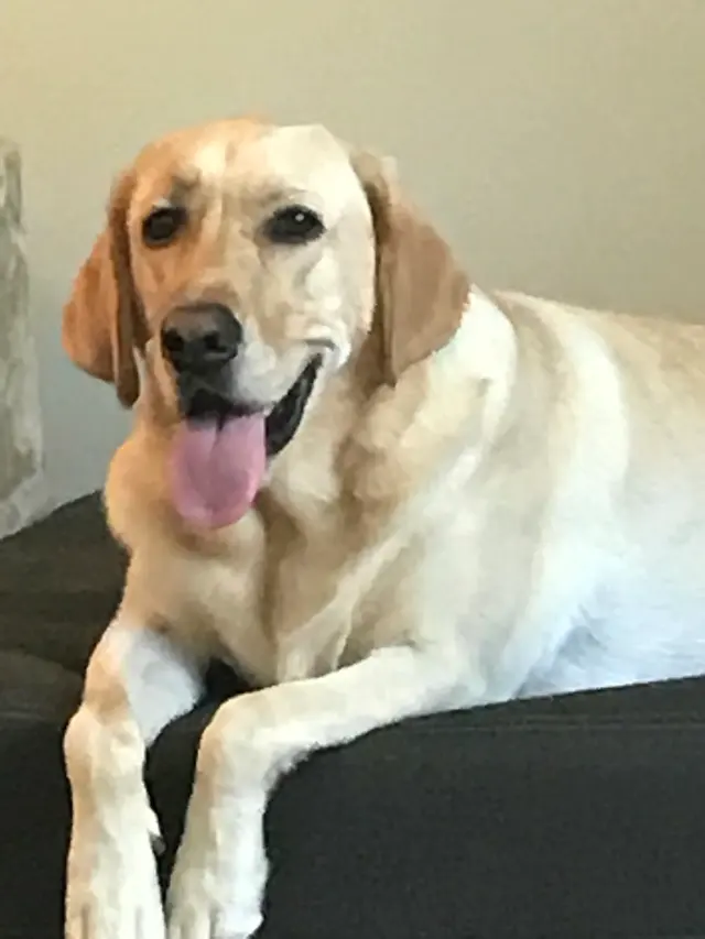 Elite Animal Hospital — customer photo 9