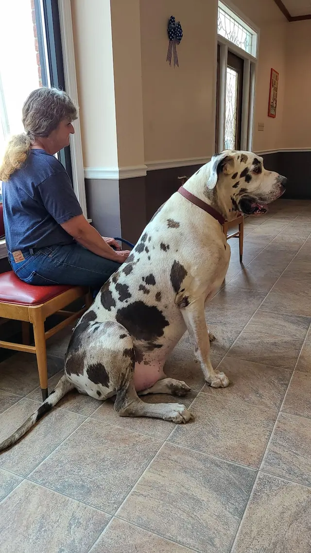 Chappell Doug DVM — customer photo 3