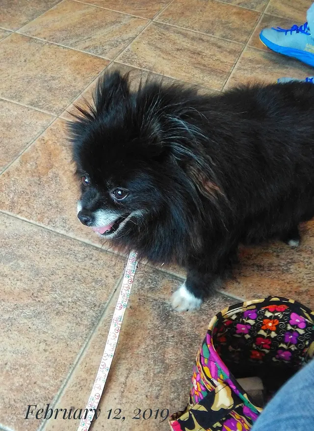 Veterinary Consultants Inc — customer photo 10