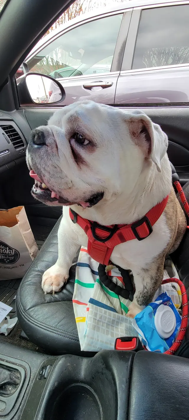 Veterinary Consultants Inc — customer photo 2