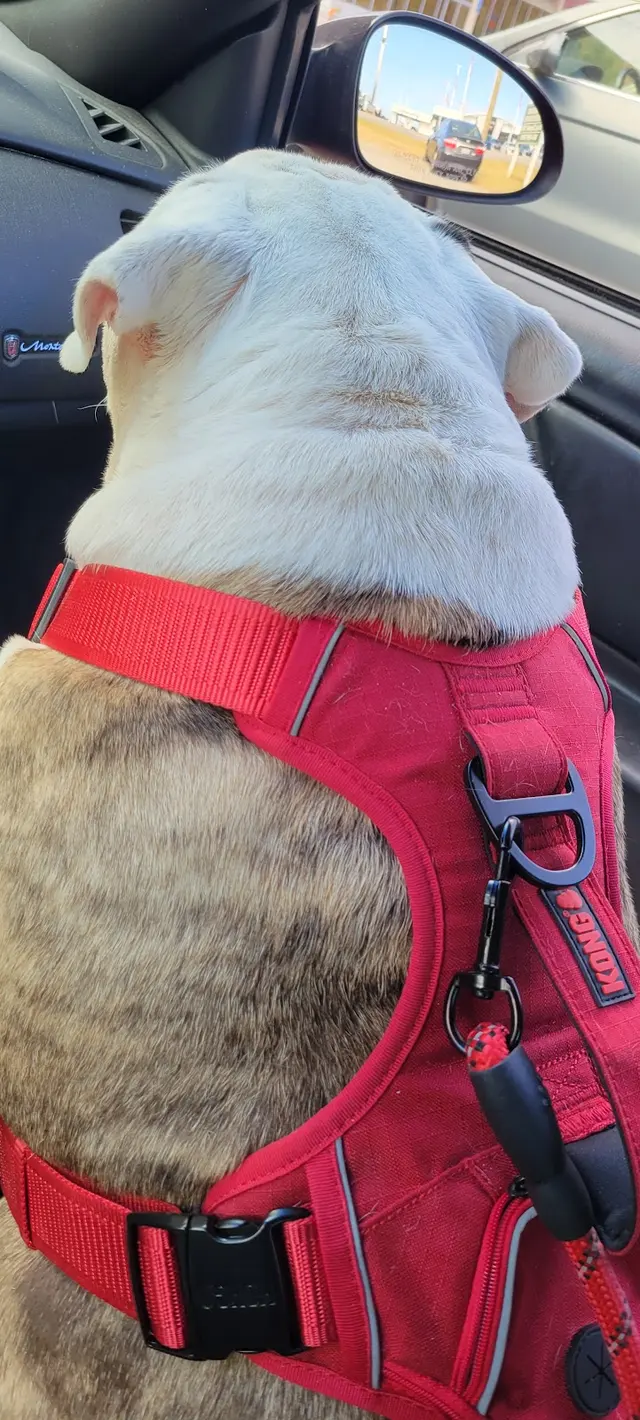 Veterinary Consultants Inc — customer photo 5