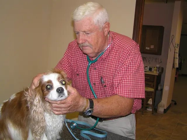 Veterinary Consultants Inc — customer photo 8