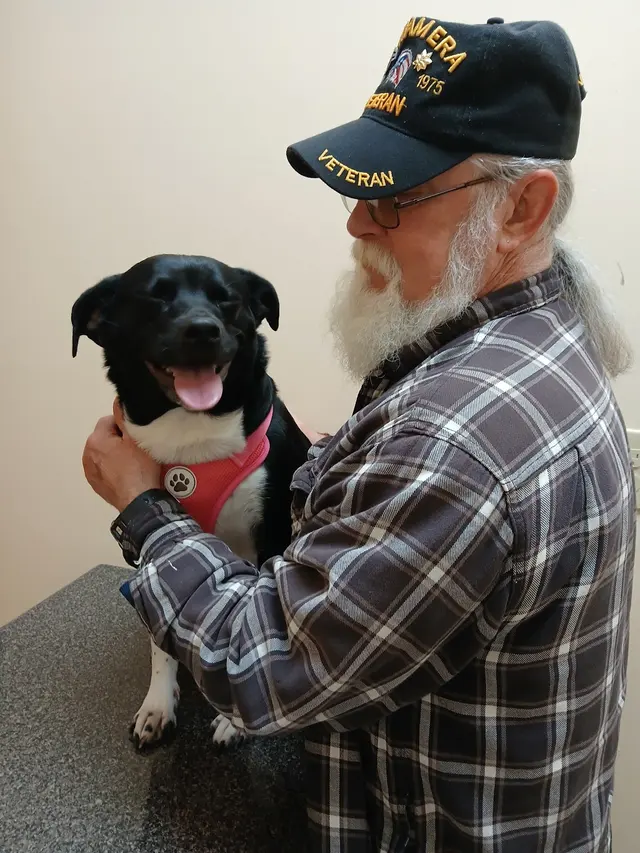 Veterinary Consultants Inc — customer photo 9