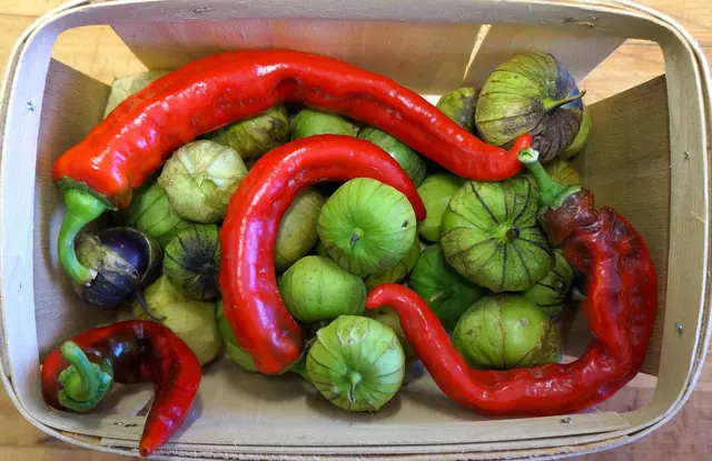 Gallery of Food Bodega — photo from the business 8