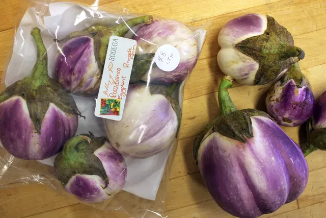 Gallery of Food Bodega — photo from the business 7