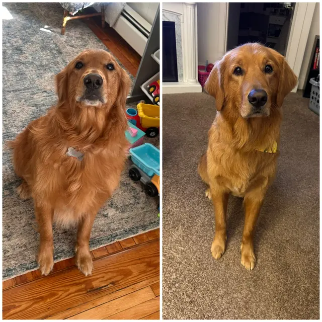 Customer photo from Abby's review
