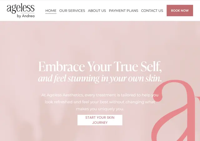 Ageless Aesthetics — photo from the business 3