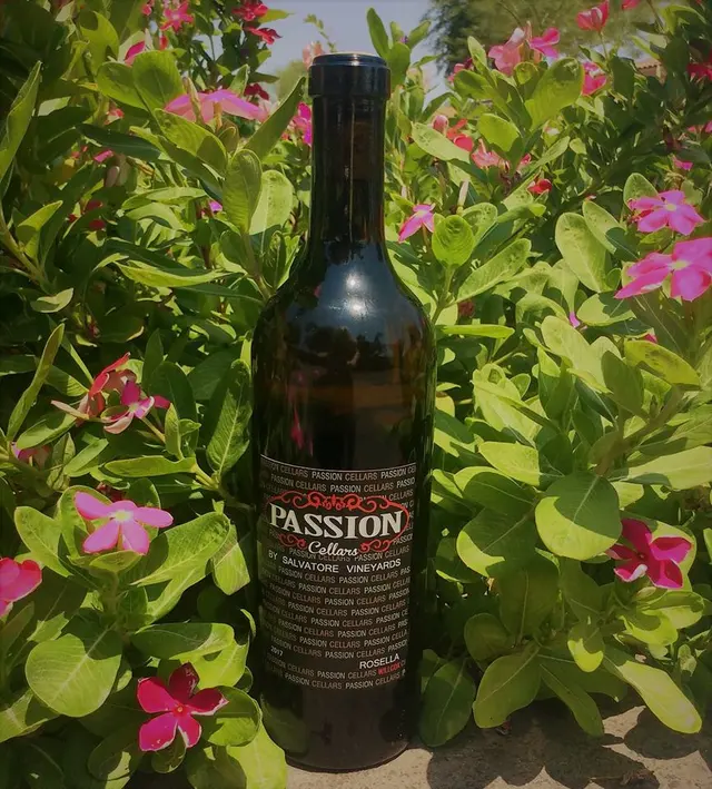 Salvatore Vineyards Tasting Room — photo from the business 11