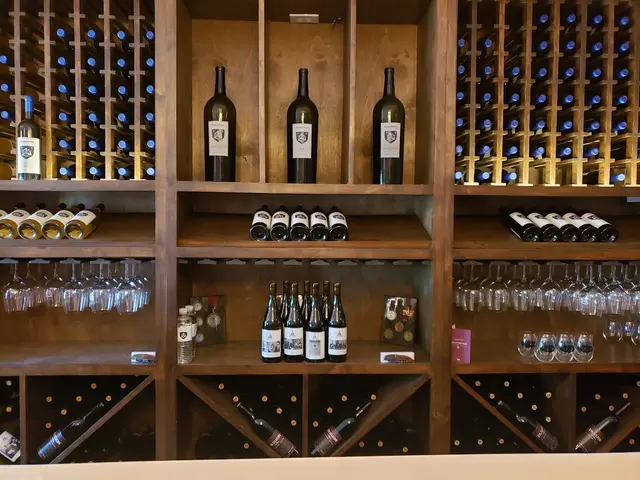 Salvatore Vineyards Tasting Room — customer photo 2