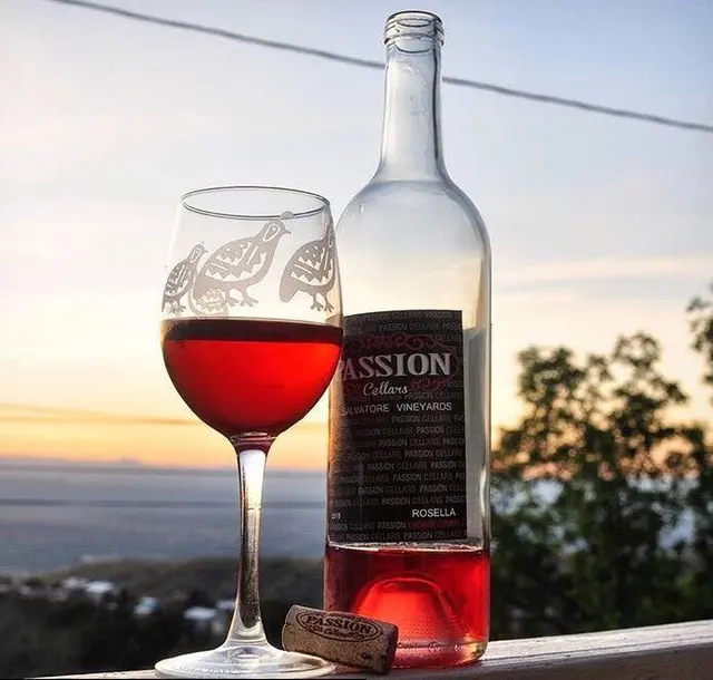 Salvatore Vineyards Tasting Room — photo from the business 6