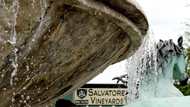 Salvatore Vineyards Tasting Room — photo from the business 9