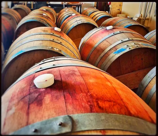 Salvatore Vineyards Tasting Room — photo from the business 7