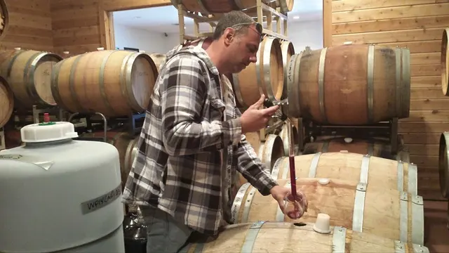 Salvatore Vineyards Tasting Room — photo from the business 10