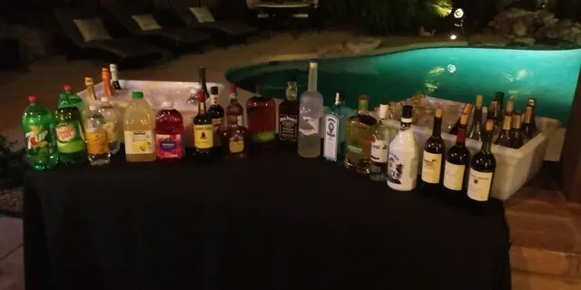Professional Bartenders Unlimited — photo from the business 12