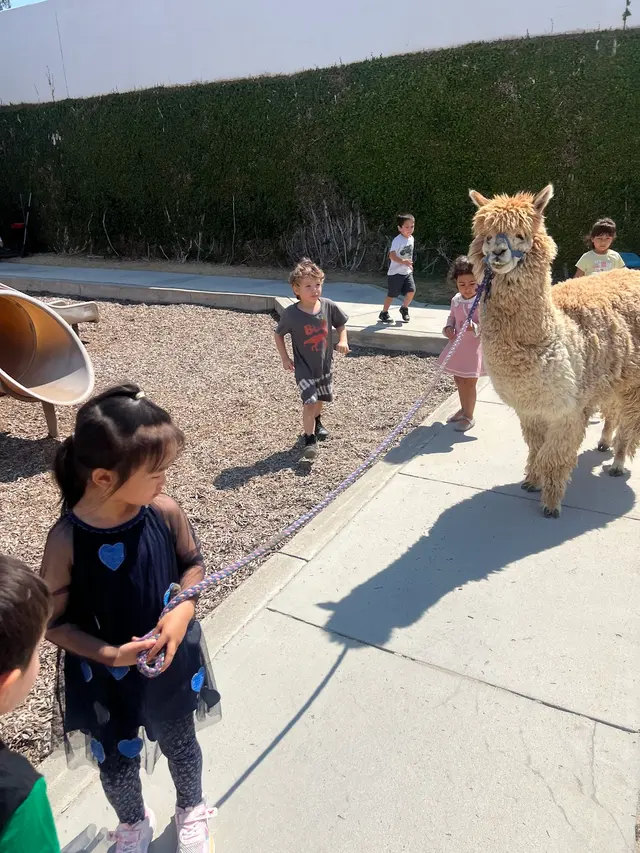 Children's Montessori Center of Yorba Linda — photo from the business 9