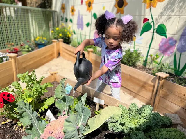 Village Preschool Academy — photo from the business 6