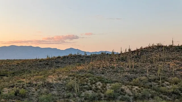 Saguaro Buttes Weddings & Events — customer photo 6