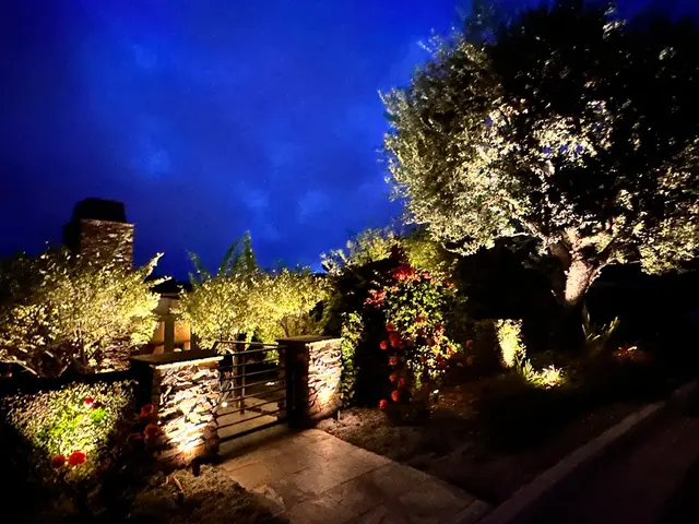 Orange County Night Lights Inc. — customer photo 8