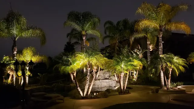 Orange County Night Lights Inc. — photo from the business 7