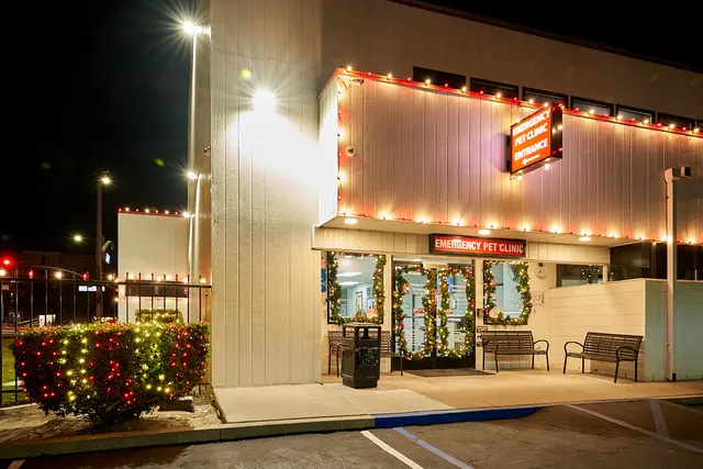 Optimal Lighting Solutions — photo from the business 8