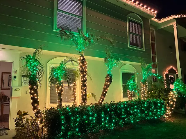 Customer photo of work by Optimal Lighting Solutions, from Diani's review