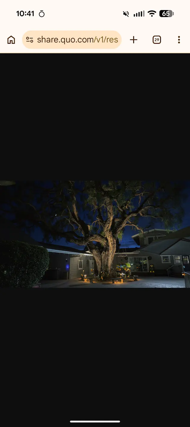 Vision Outdoor Lighting — customer photo 12