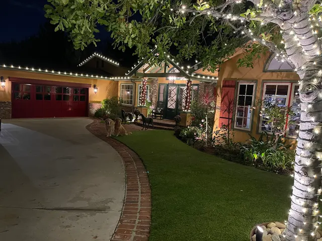 Christmas Brothers — customer photo 5