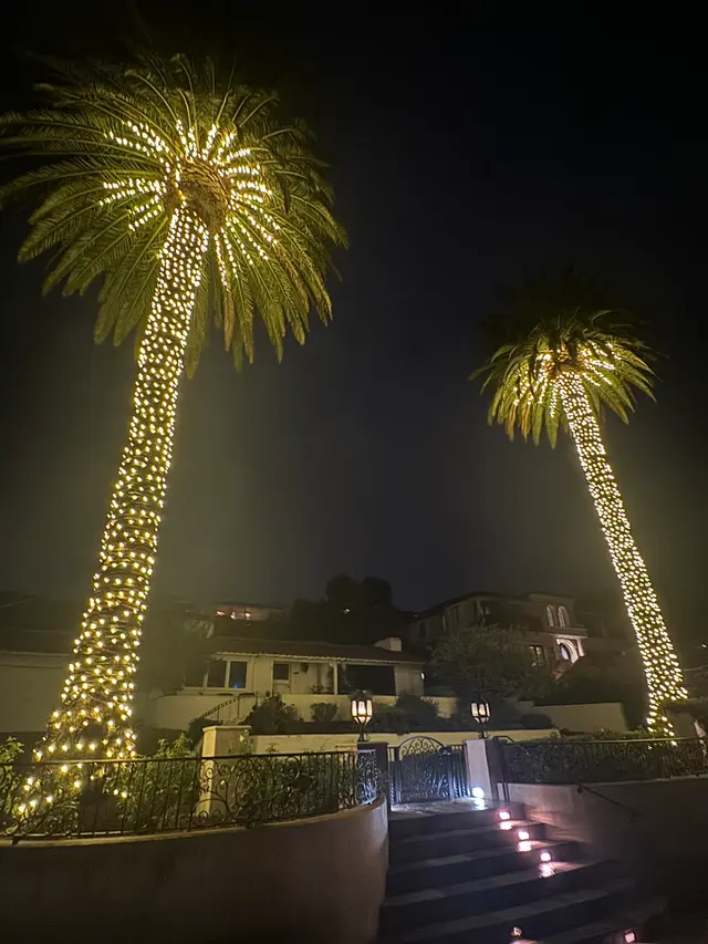 Customer photo of work by Christmas Brothers, from Carolyn Noonan's review