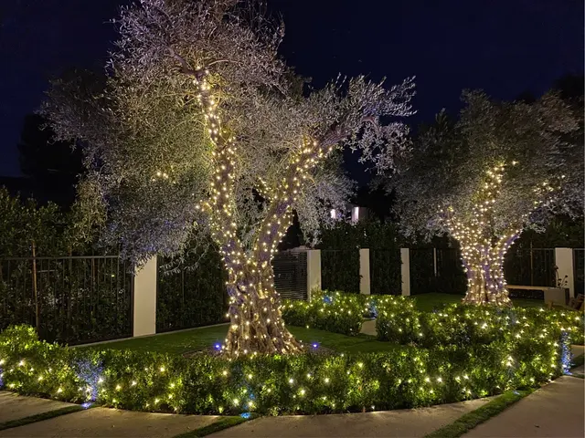 Christmas Brothers — photo from the business 4