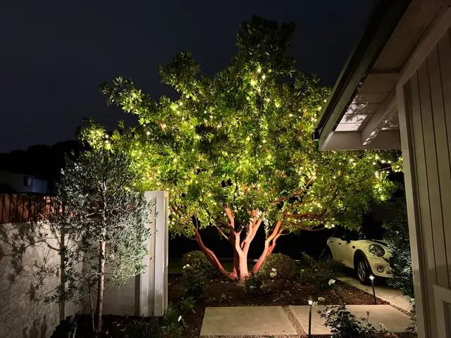 Customer photo of work by Outdoor Lighting Perspectives of South Orange County, from Steven Glyer's review