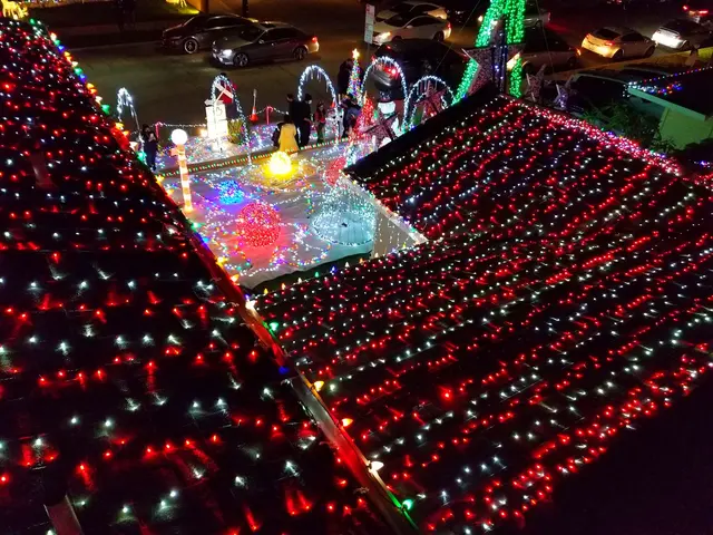 Christmas Lights In Orange County — photo from the business 2