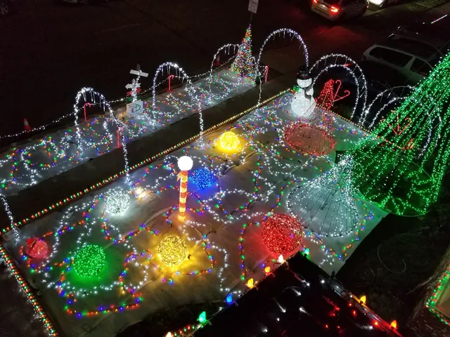 Christmas Lights In Orange County — photo from the business 4