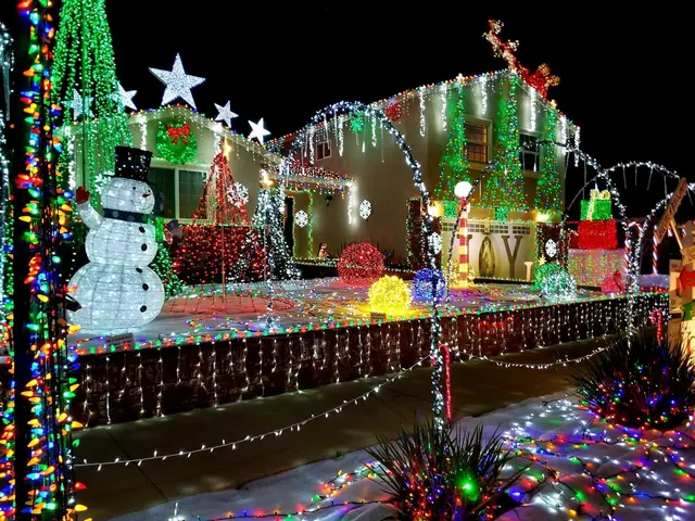 Christmas Lights In Orange County — photo from the business 3