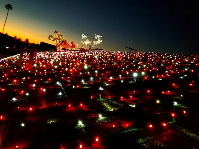 Christmas Lights In Orange County — photo from the business 6