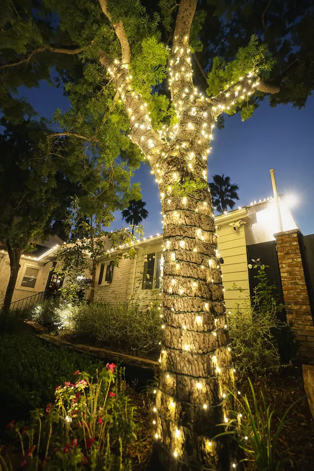 Lights Up Today — photo from the business 6