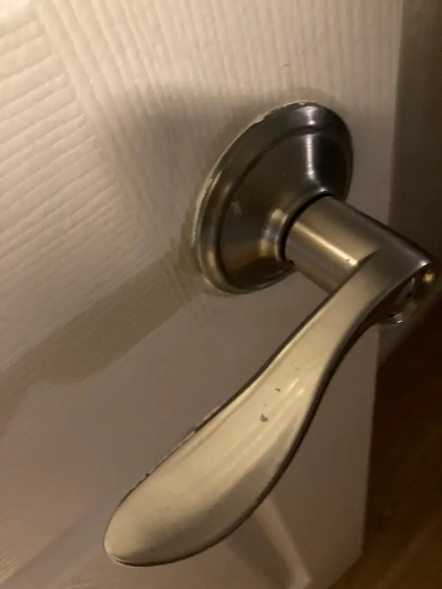 Ladybug Handyman Services — customer photo 9