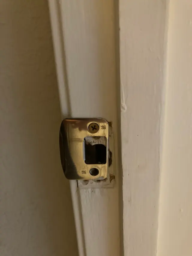 Ladybug Handyman Services — customer photo 5