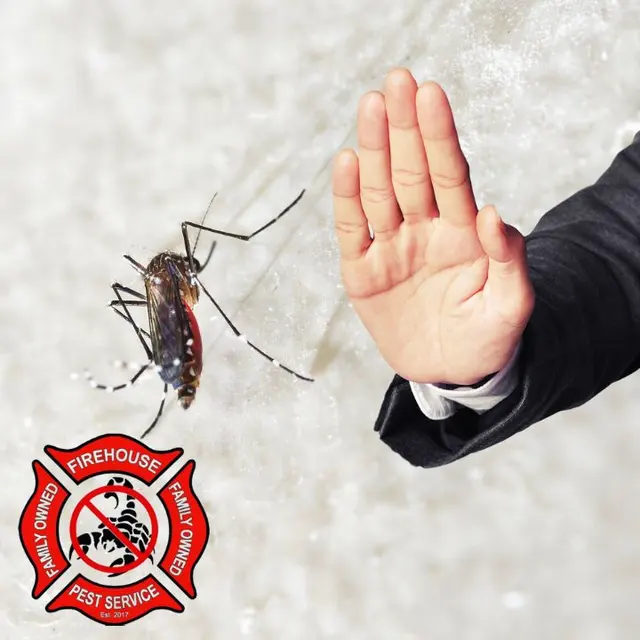 Firehouse Pest Control Services — photo from the business 12
