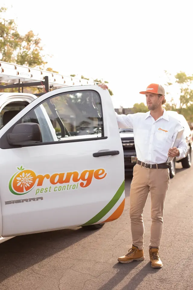 Orange Pest Control — photo from the business 3
